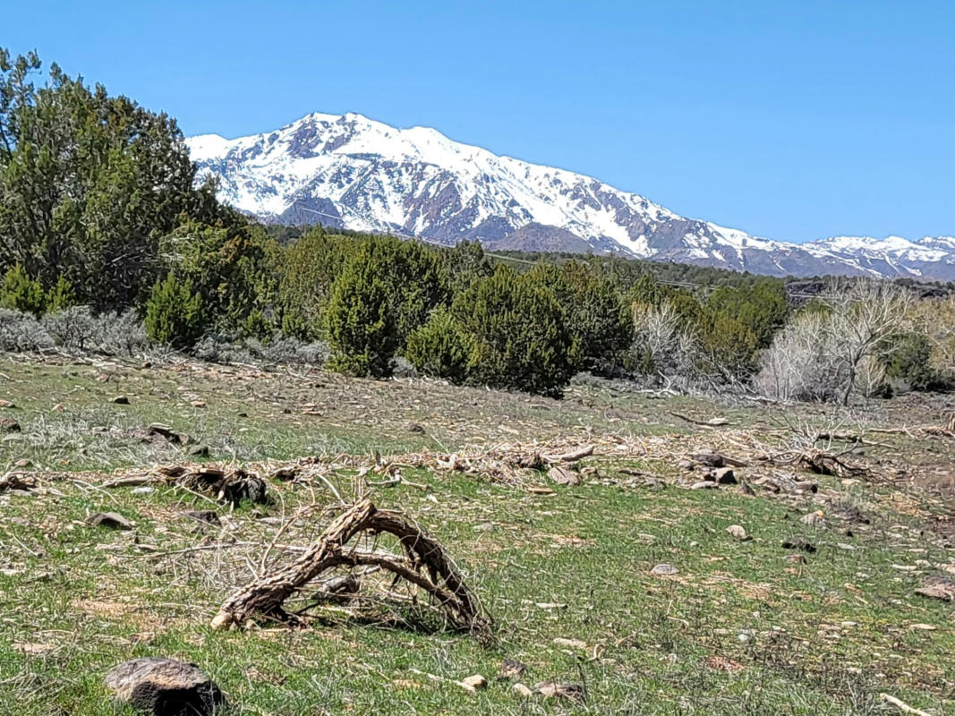 OLD HWY 91 WEST OF FREEWAY, NEW HARMONY, UT 84757, photo 1 of 23