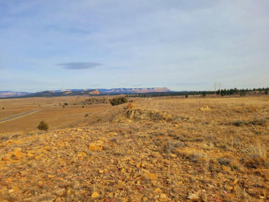 68 ACRES COMMERCIAL LAND - JOHNS VALLEY RD, BRYCE CANYON, UT 84764 - Image 1